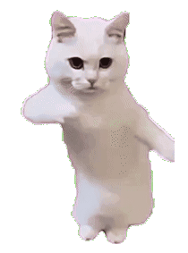 catdance1